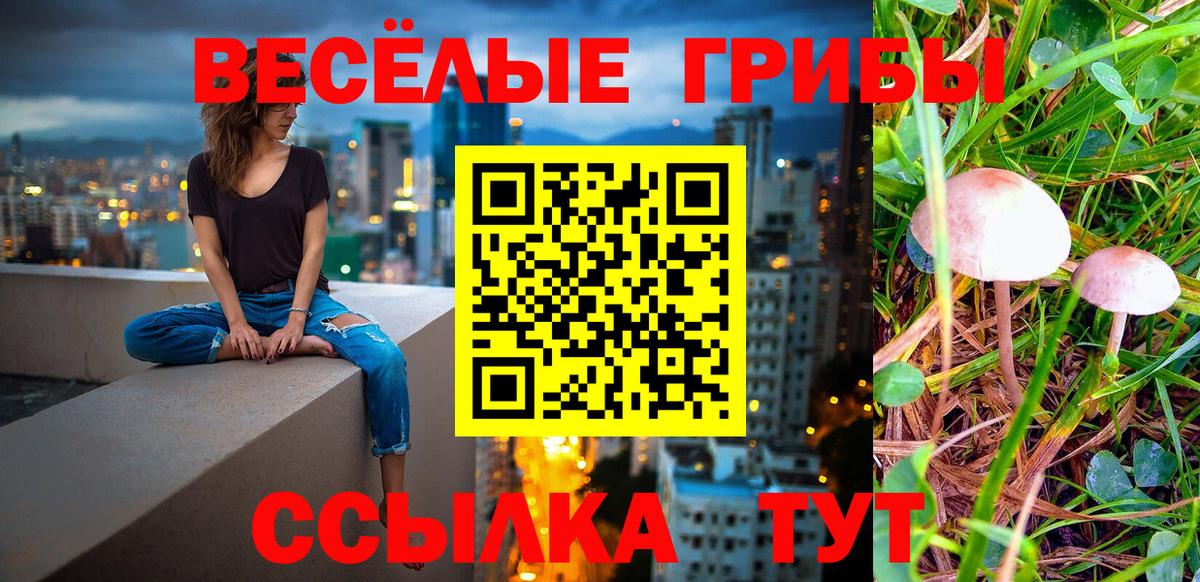 Псилоцибиновые грибы Psilocybe  Вход с VPN  Лангепас 