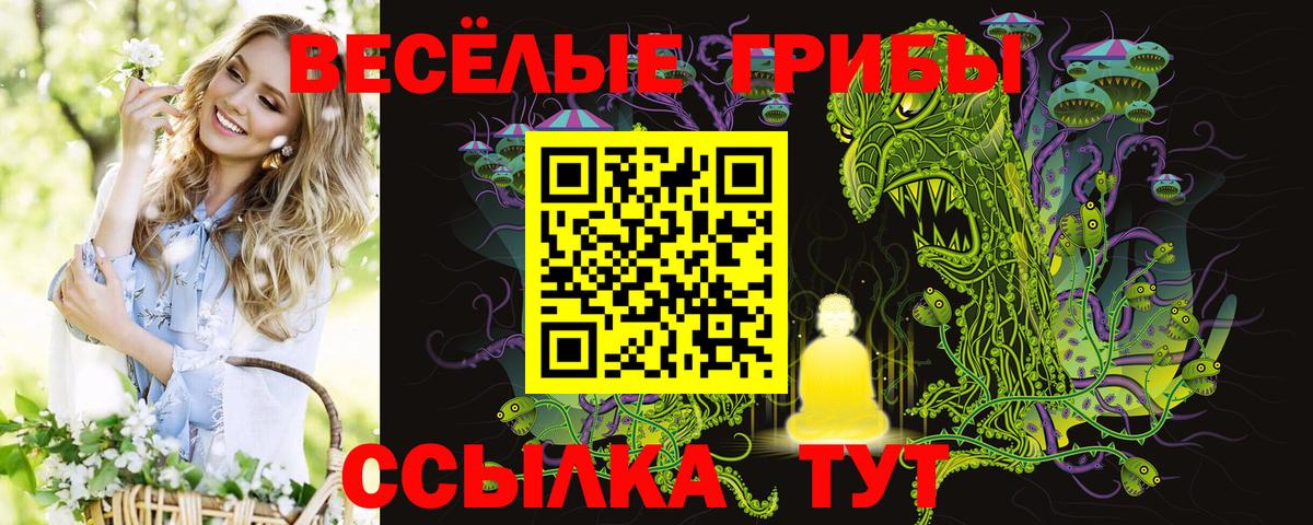 Галлюциногенные грибы Cubensis Лангепас